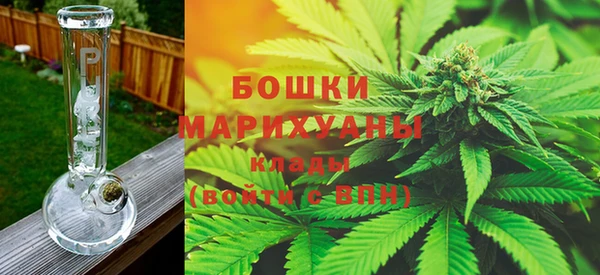 ГАЛЛЮЦИНОГЕННЫЕ ГРИБЫ Ладушкин