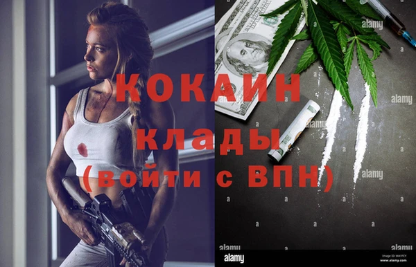 ГАЛЛЮЦИНОГЕННЫЕ ГРИБЫ Ладушкин